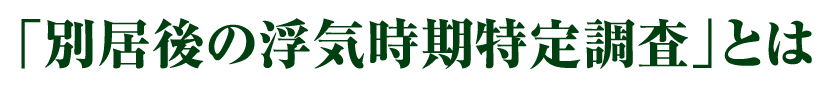 別居後の交際時期特定調査とは